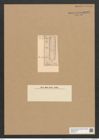 Grammatophora oceanica Ehr. (de-Toni-Nr.: Genus 93, Species 3036) Zeichnungen Sammlung Grunow Nr. 6152 (NHMW-BOT-W0374713)
